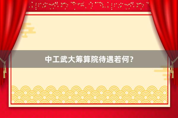 中工武大筹算院待遇若何?